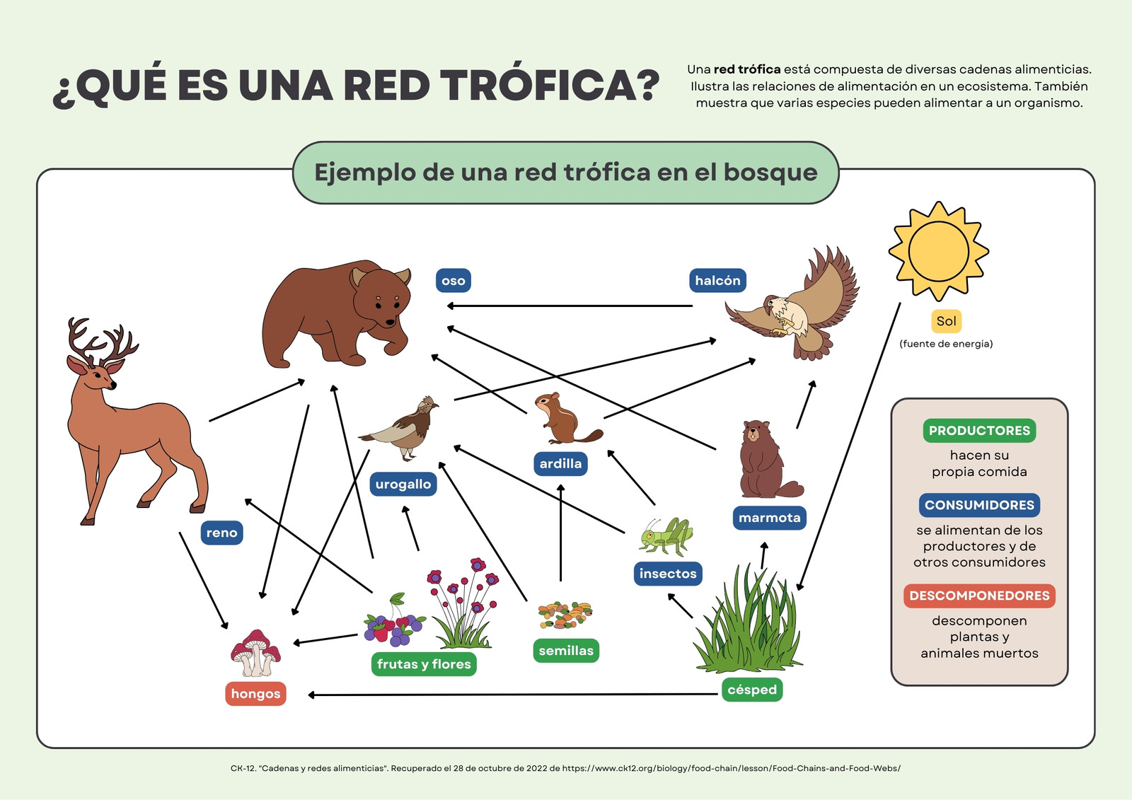 Red trofica